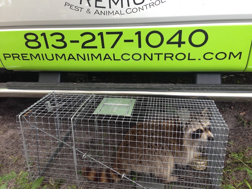Premium Pest and Animal Control