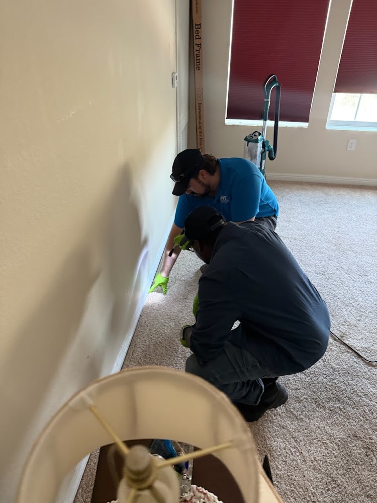 Welltech Pest Solutions, LLC