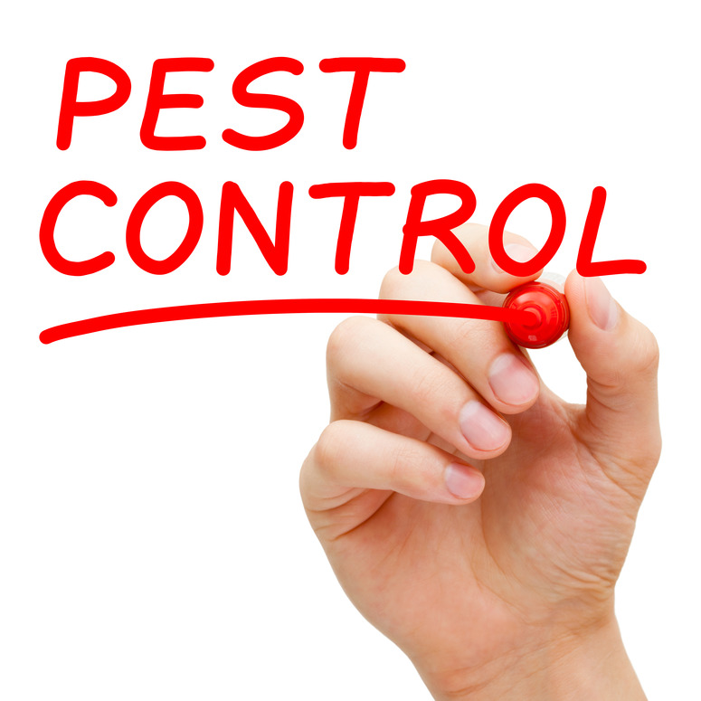 Tampa Exterminators