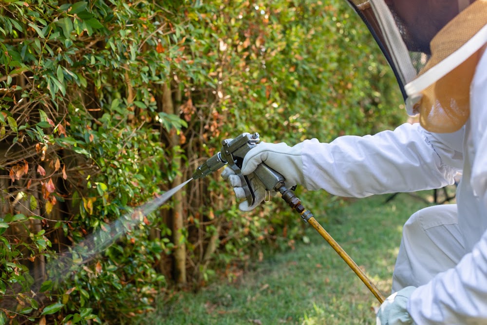 Anderson Pest Pros