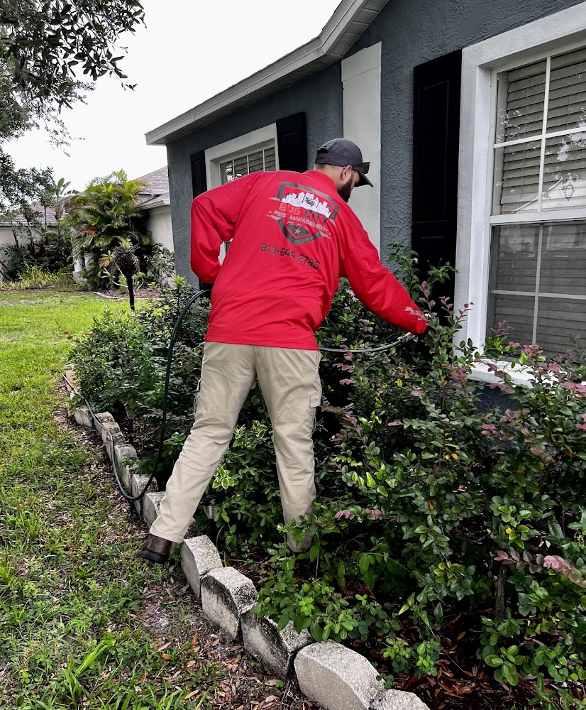 Bug City Pest Management