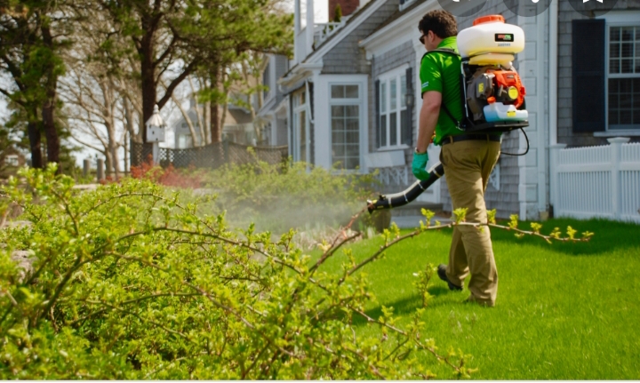 Floridian Mosquito Control