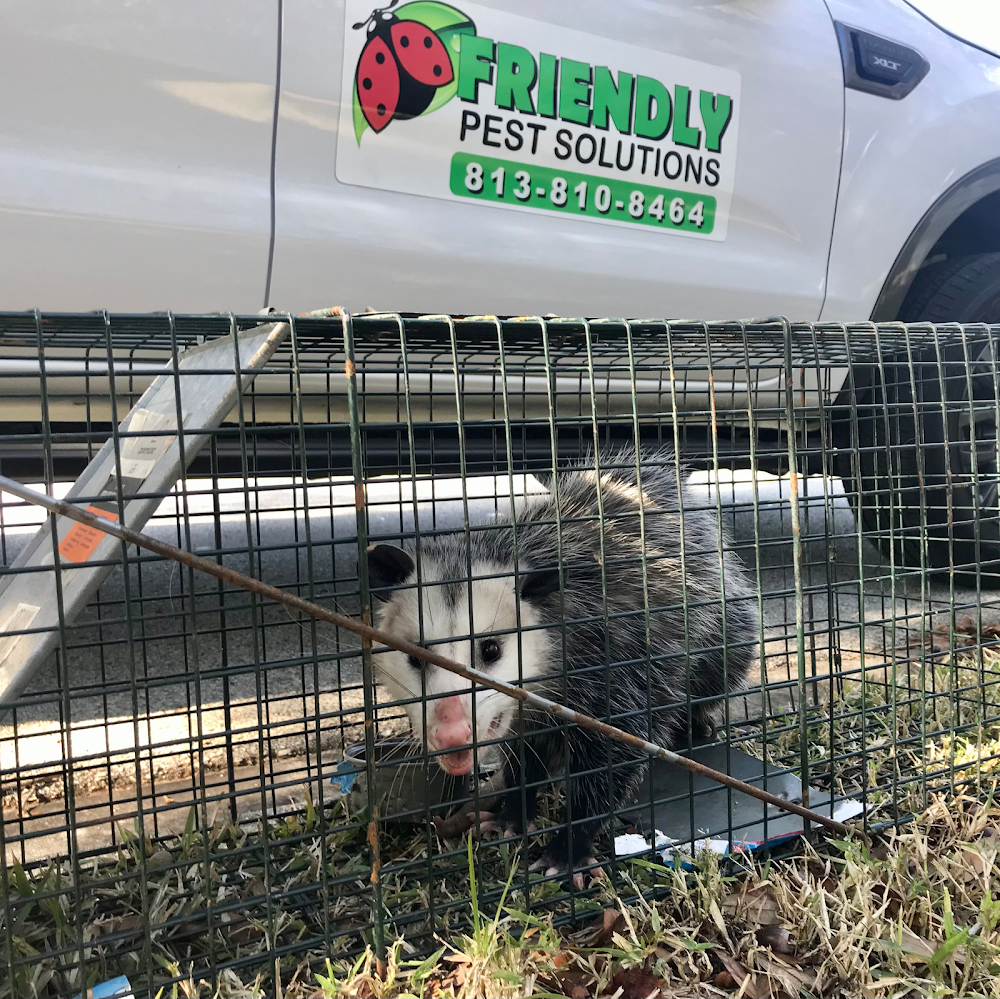 Friendly Pest Solutions, LLC