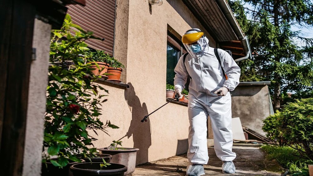 Family Pest Services