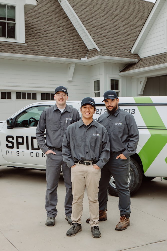 Spidexx Pest Control & Termite - Tampa