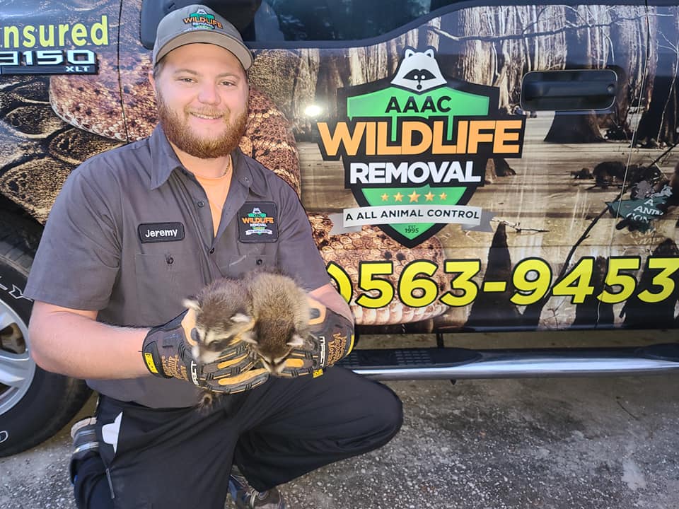 AAAC Wildlife Removal of Tampa Bay