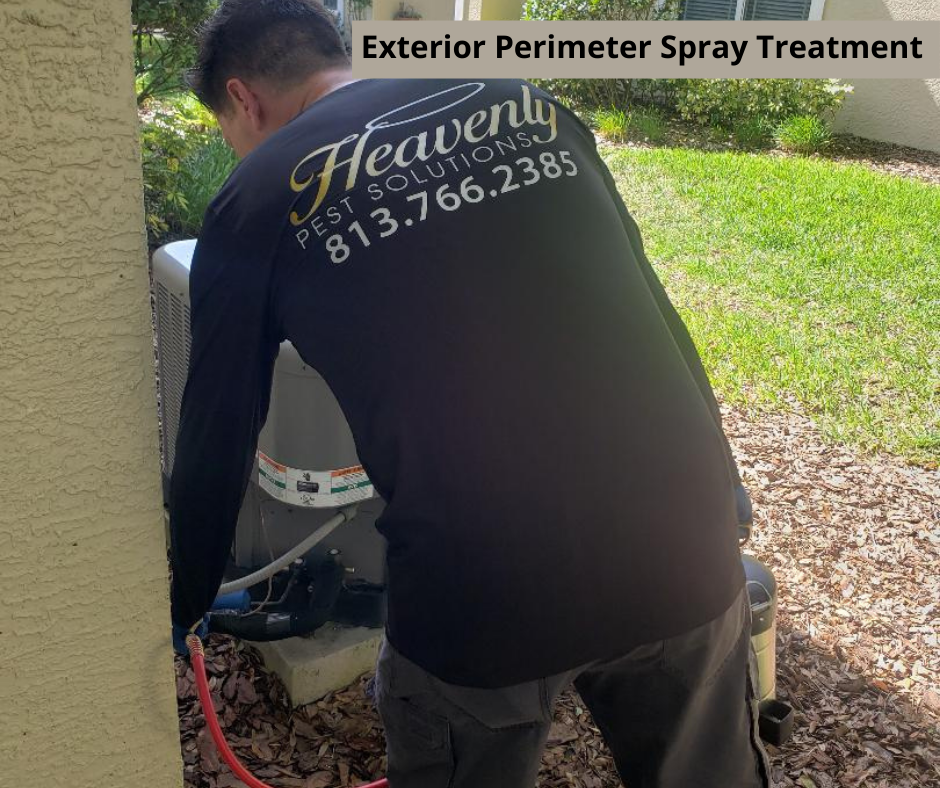 Heavenly Pest Solutions