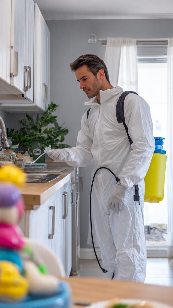 PETATE CLEANING LLC