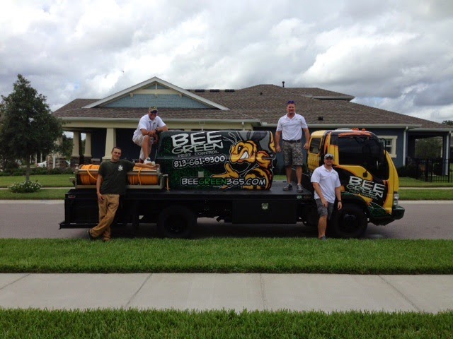 Bee Green Pest Control