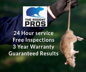 The Rodent Pros