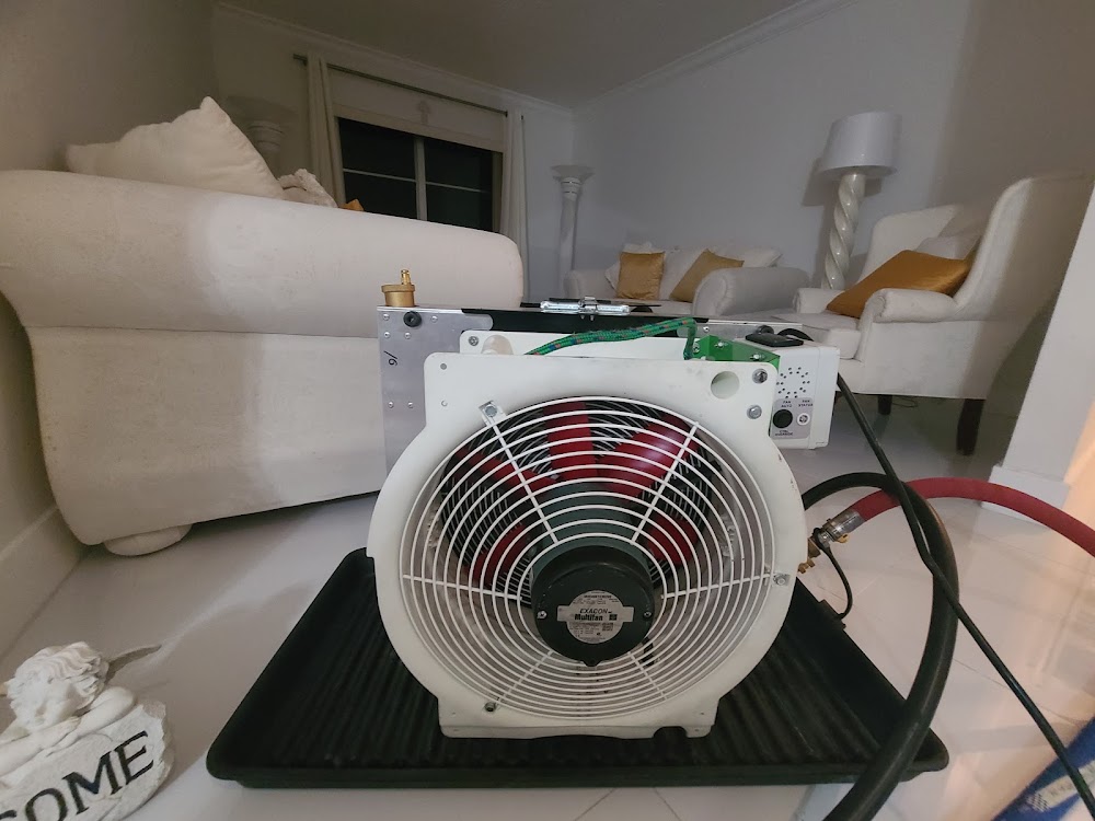 Bed Bug Exterminator | Tampa