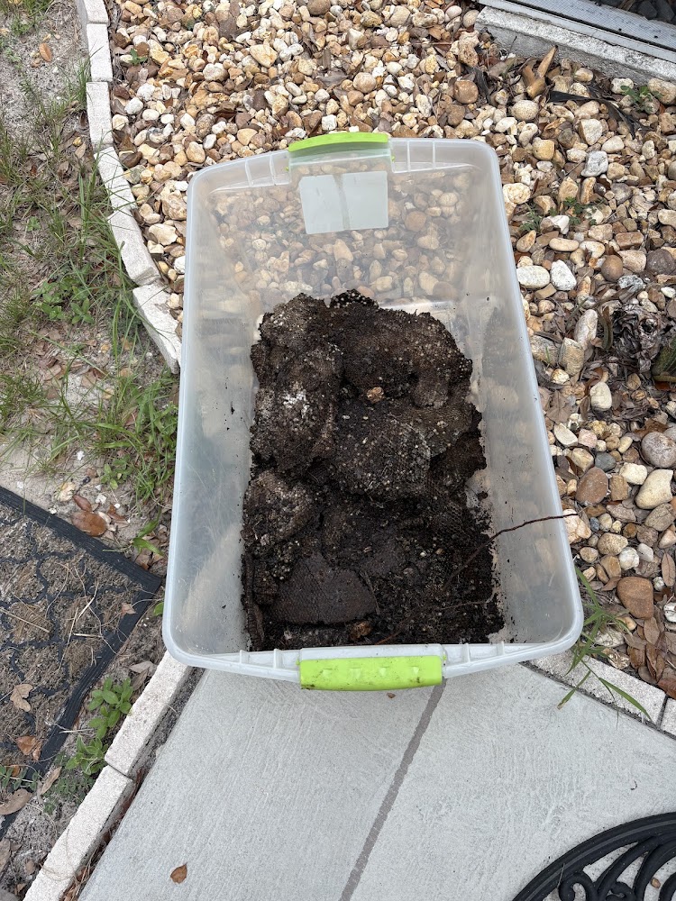 Nobility Pest Management Professionals