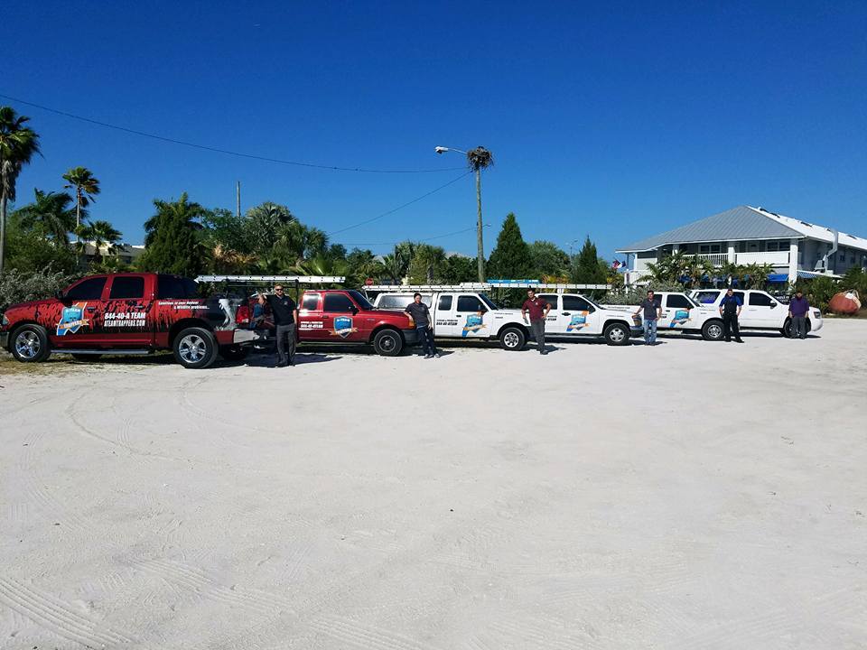 A-Team Trappers Tampa Bay