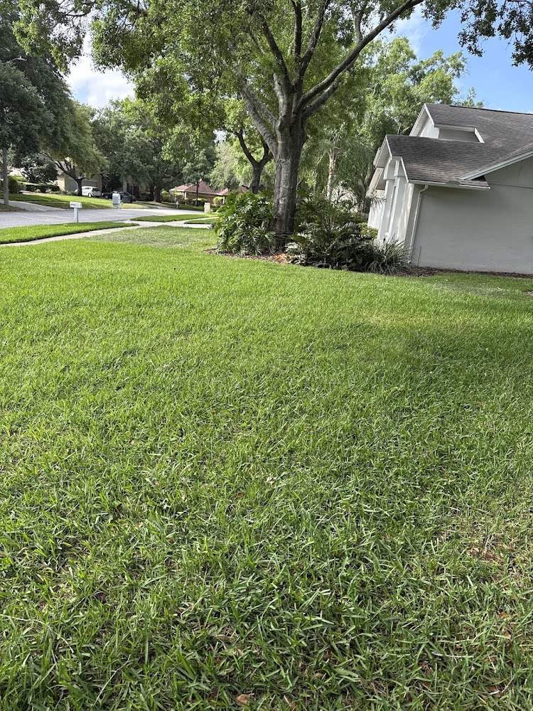 Nvirotect Pest Control Services Inc