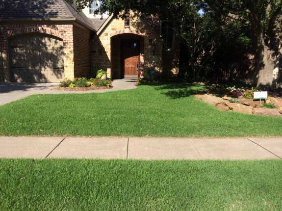 Burtons Best Quality Turf And Pest