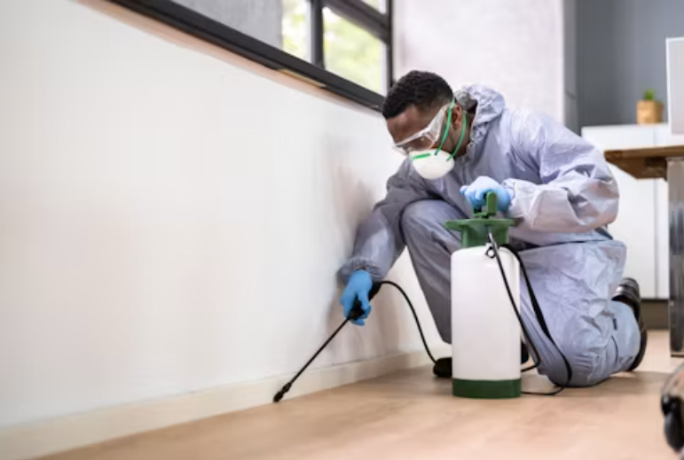 Tampa Termite & Pest Control
