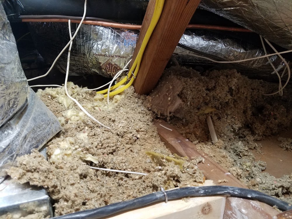All Pro Pest Control Corp